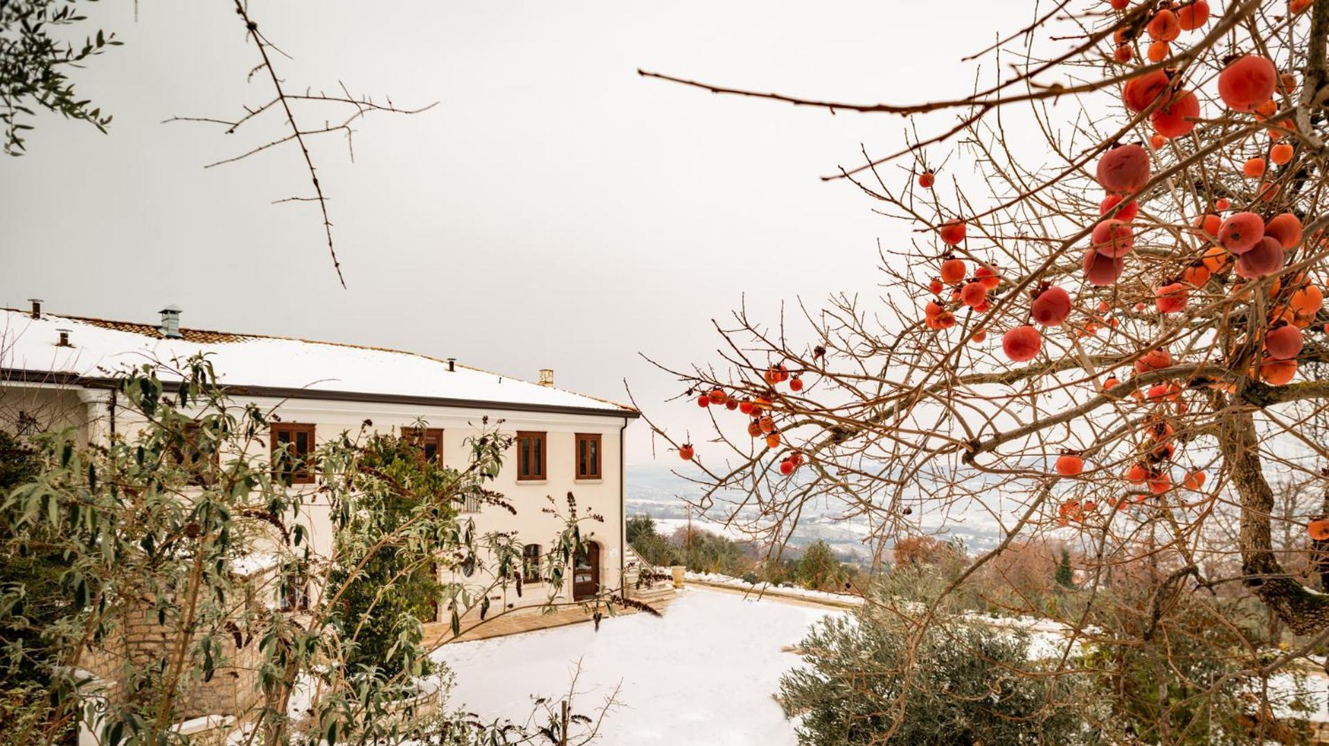 Il Mulino Della Signora Luxury Country House Frigento Ngoại thất bức ảnh